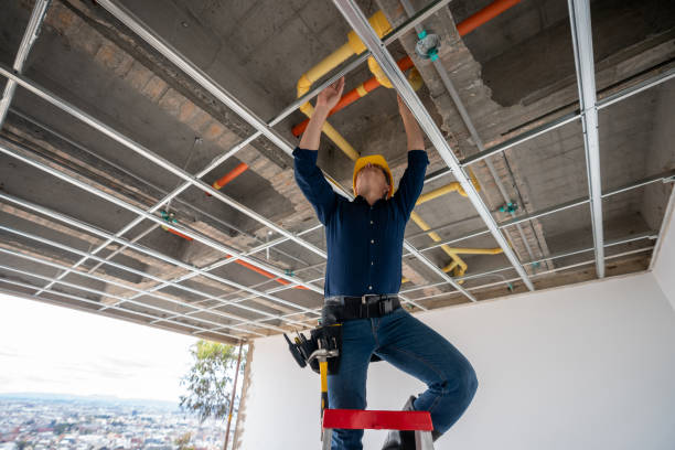 Best Best Plumbers Near Me  in Manteno, IL