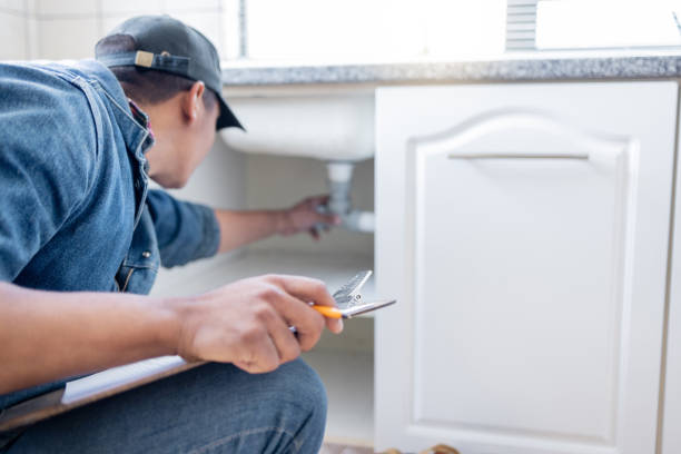 Best Shower Repair Services  in Manteno, IL