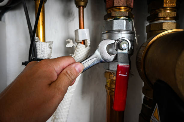 Best Local Plumber Services  in Manteno, IL